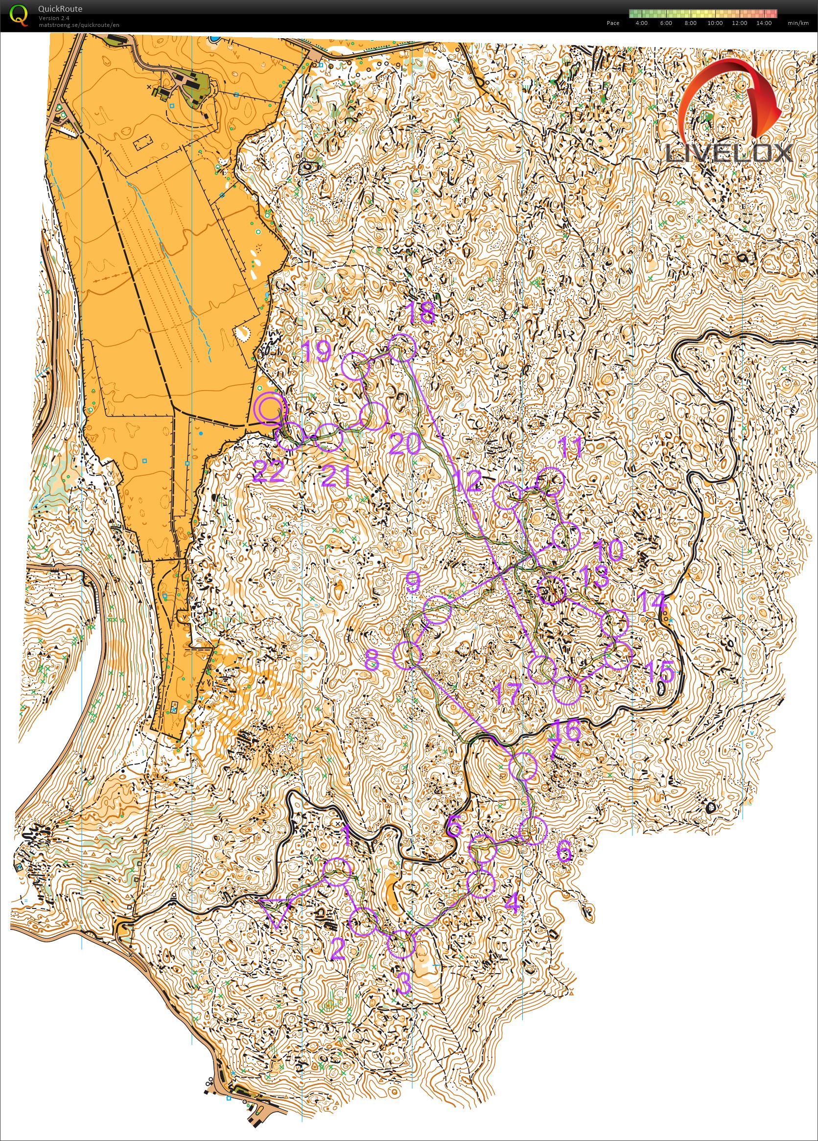 Cansiglio Orienteering Meeting - Middle (30.06.2024)
