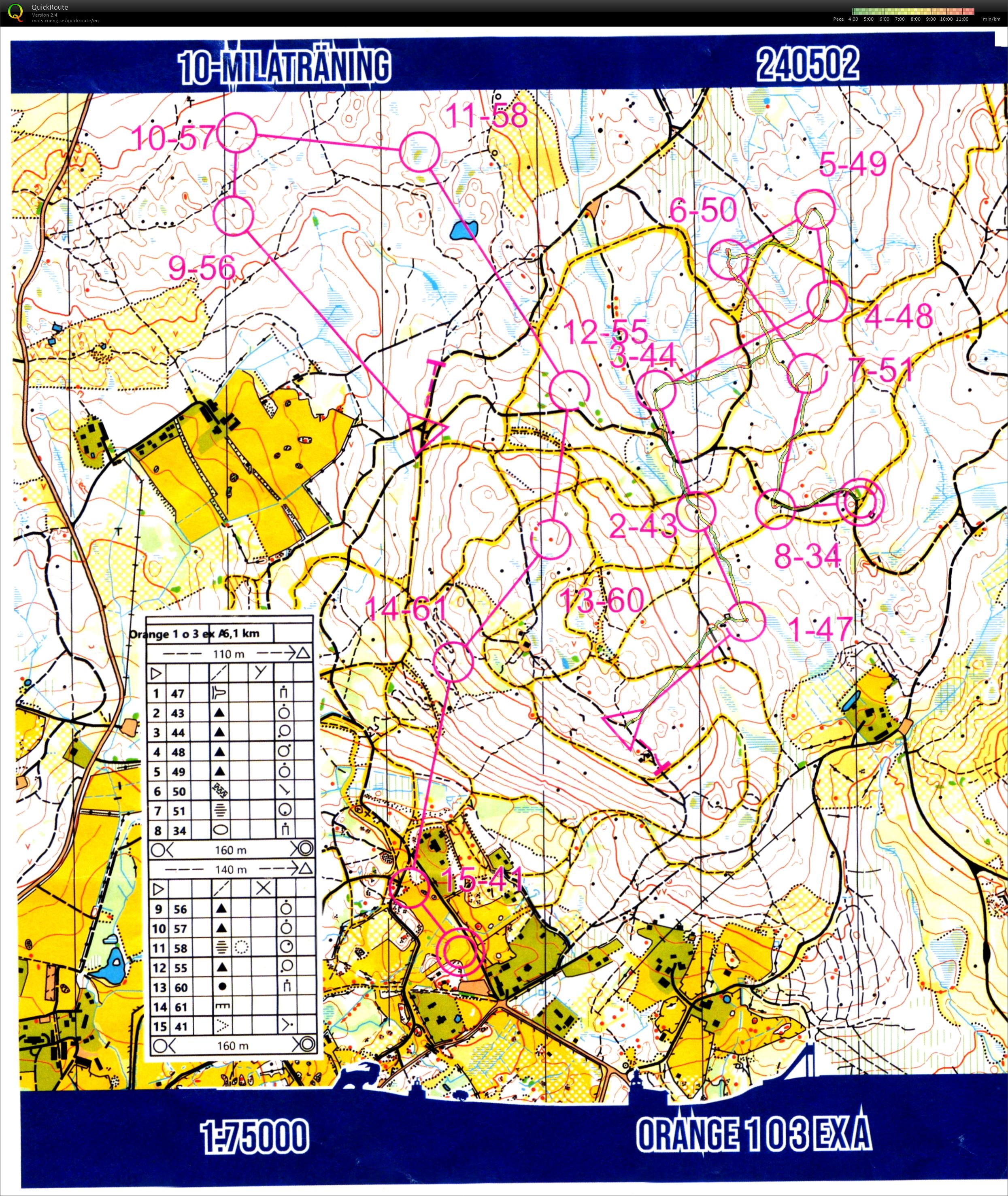 10Mila Training - Loop 1 (11.07.2024)