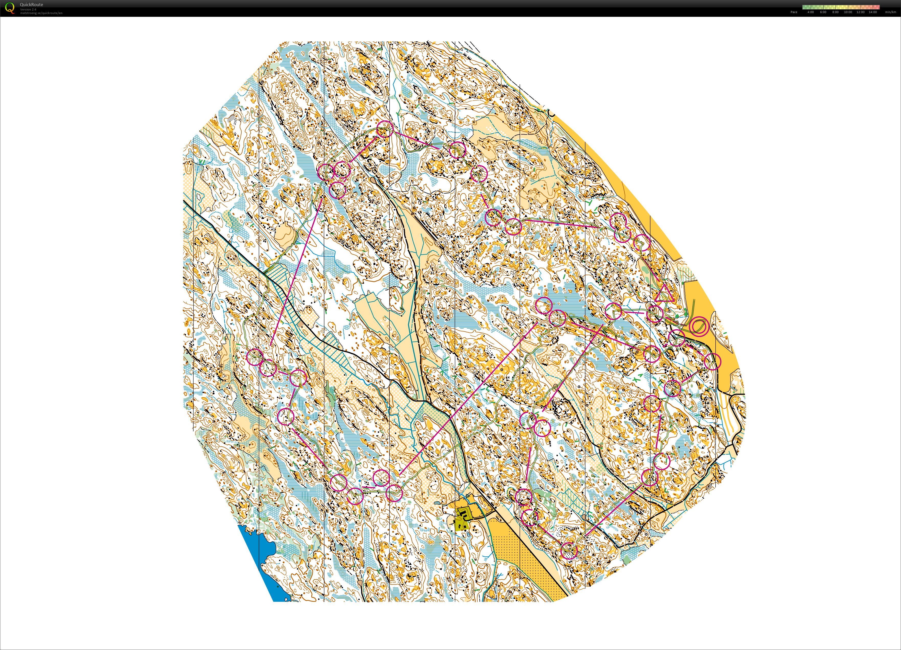 SM Medel Relay (08.09.2024)